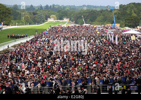 Ascot, Windsor, UK. 19. Juni 2014. Übersicht auf der Rennbahn. Ascot Racecourse. (Zuschauer, Besucherausweis, Fachpublikum, Ueberblick, Uebersicht, Vogelperspektive, Anlage, Ansicht, Zielgerade, Überblick, Fachstellen) 614D190614ROYALASCOT. JPG (c) Frank Sorge Credit: Caro /Alamy Live-Nachrichten) Stockfoto