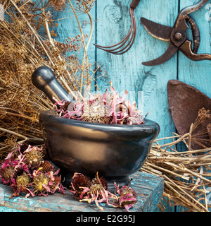 Mörtel mit getrockneten Heilkräutern und Gartengeräte im freien Stockfoto