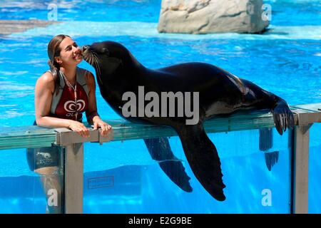 Portugal Lissabon Zoologischer Garten die Delphinarium-Show mit Seelöwen Stockfoto