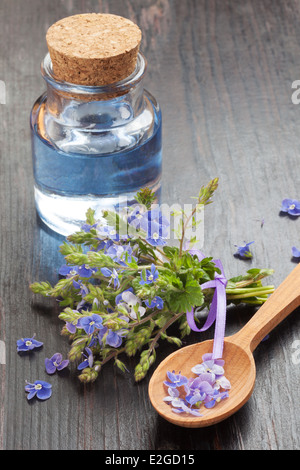 blaue ätherisches Öl in Glasflasche, Holzlöffel und heilende Blumen auf Tisch Stockfoto