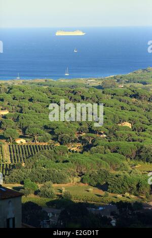 Frankreich Var Saint Tropez Halbinsel Ramatuelle Rebe AOC Côtes de Provence Pampelonne Strand im Hintergrund Stockfoto