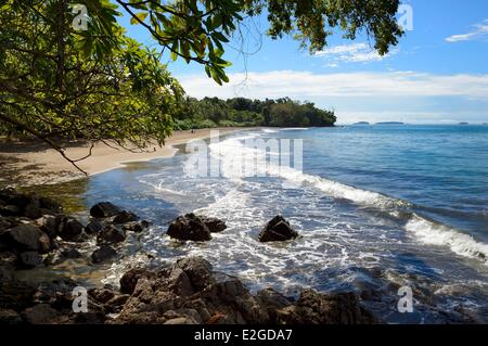 Panama Chiriqui Provinz Golf von Chiriqui National Marine Park Isla Palenque Playa Palenque Südstrand Stockfoto