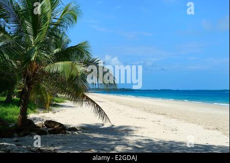 Panama Perle Inseln Isla Viveros weißen Sandstrand Stockfoto