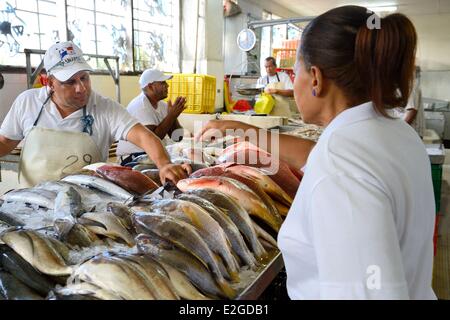 Panama Panama-Stadt Santa Ana Nachbarschaft Fish Market (Mercado de Mariscos) Stockfoto