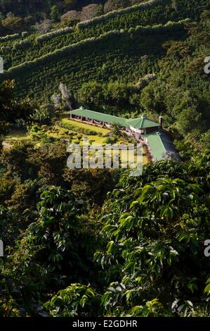Panama Chiriqui Provinz Boquete Kaffee Plantage Finca Lerida an den Hängen des Volcan Baru Hotels Stockfoto