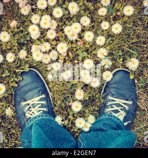 Blaue Schuhe im Rasen mit Gänseblümchen von oben Stockfoto