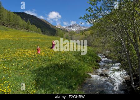 Frankreich Hautes Alpes Queyras kleine Mädchen und ihre Mutter in blühenden Almen in der Nähe Souliers Dorf zwischen Arvieux Tal und Chateau Queyras-Tal Stockfoto
