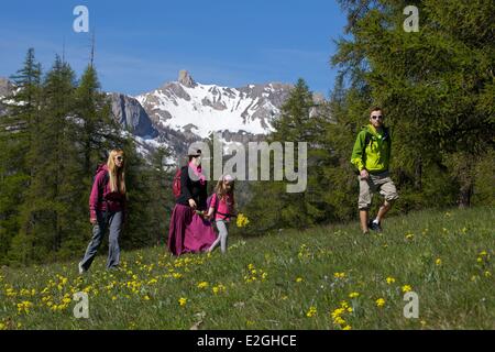 Frankreich Hautes Alpes Queyras Spaziergänger im blühenden Almen in der Nähe Souliers Dorf zwischen Arvieux Tal und Chateau Queyras-Tal Stockfoto