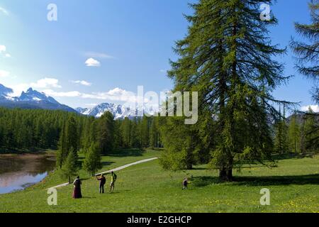 Frankreich Hautes Alpes Queyras Spaziergänger im blühenden Almen in der Nähe Souliers Dorf und Roue See Stockfoto