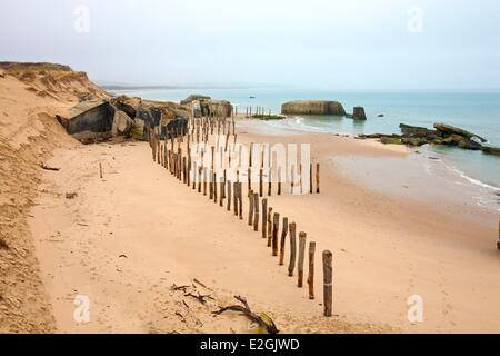 Frankreich-Pas de Calais Côte Opale Parc Naturel regional des Caps et Marais Opale Wissant Bay Hamiot Stockfoto