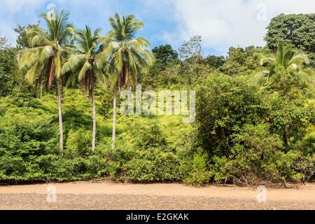 Panama Veraguas Provinz Golf von Chiriquí Nationalpark Coiba als Weltkulturerbe der UNESCO gelistet, seit 2005 Coiba Insel Strand Stockfoto