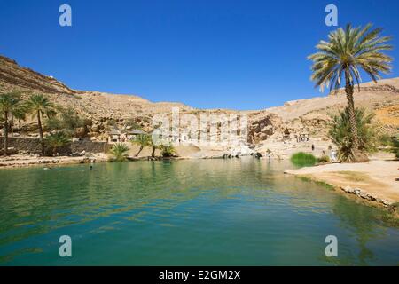 Sultanat von Oman Ash Sharqiyyah Region Wadi Bani Khalid Stockfoto