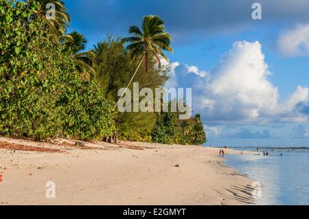 Cookinseln Rarotonga Insel Strand im Süden von Avarua Stockfoto