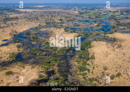 Botswana Nord West District Okavango Delta Linyanti Reserve Flug zwischen Abu Lodge und Savuti Camp Stockfoto