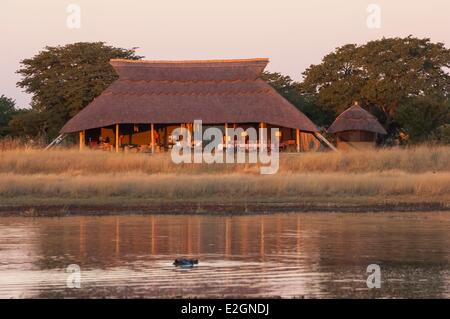 Simbabwe Matabeleland North Provinz Hwange National Park Shuba Plains Camp Hwange Wasserloch Flusspferd (Hippopotamus Amphibius) Stockfoto