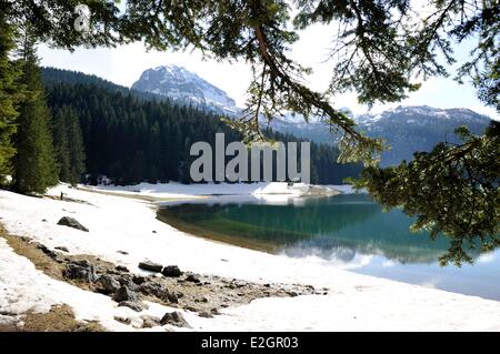 Montenegro nördlichen Berge Zabljak Nationalpark des Durmitor Crno Jezero (Schwarzer See) Stockfoto