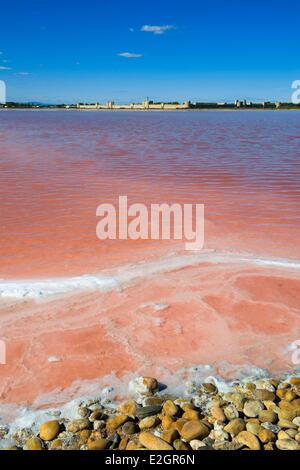 Frankreich Gard Aigues Mortes Compagnie des Salins du Midi, die Salz-Sumpf von Aigues Mortes nutzt erhielt Preis der besten Bauleitung für die biologische Vielfalt vom Ministerium für Ökologie Stockfoto