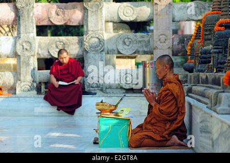 Indien Bihar Zustand Bodh Gaya als Weltkulturerbe der UNESCO Mahabodhi Tempelkomplex (Great Awakening Tempel) buddhistischen Tempel aufgeführt wo Siddhartha Gautama Buddha Erleuchtung Mönche beten erreicht Stockfoto