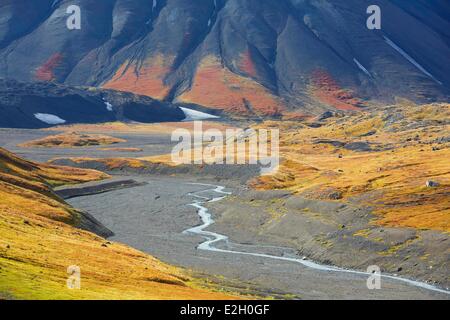 Vereinigte Staaten Alaska Denali Nationalpark Mount McKinley Glacier Creek-Tal Stockfoto