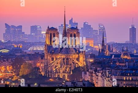 Frankreich Paris Notre Dame Kathedrale auf Île De La Cité mit Arc de Triomphe und Wolkenkratzer des Geschäftsviertels La Dedense im Hintergrund, die nachts beleuchtet Stockfoto