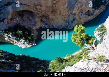 Frankreich Alpes de Haute Provence Var Parc Naturel Regional du Verdon (natürlichen regionalen Park der Verdon) La Palud Sur Verdon Aiguines Eingang des Gorges du Verdon Stockfoto