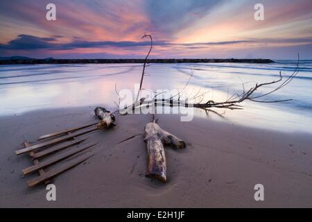 Frankreich Var Frejus Saint Aygulf Strand Schutt auf Grund am Strand nach Überschwemmungen im November 2011 Stockfoto