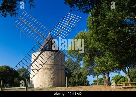 Frankreich Var Saint Tropez Halbinsel Ramatuelle Paillas Windmühle Stockfoto