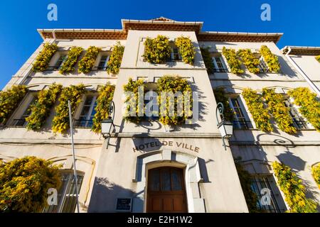 Frankreich Var Massif du Tanneron Tanneron dekorierte Fassade des Rathauses während Mimosa Festival Stockfoto