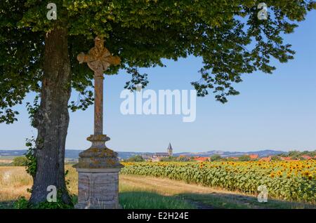 Frankreich Puy de Dome Limagne schlicht Aubiat Dorf Stockfoto
