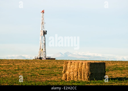 Bohranlage ein Luzerne Gebiet östlich der Rocky Mountains im zentralen Colorado, USA gegründet. Stockfoto