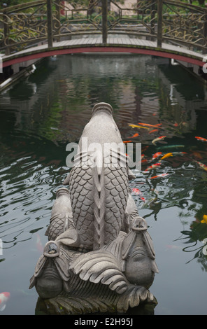 hinter einem Stein Schnitzen von Koi-Karpfen im Teich Stockfoto