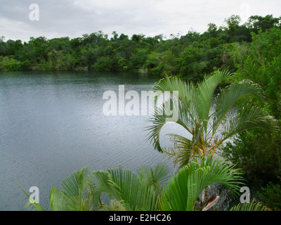 ein See namens Cenote Azul in Mexiko Stockfoto