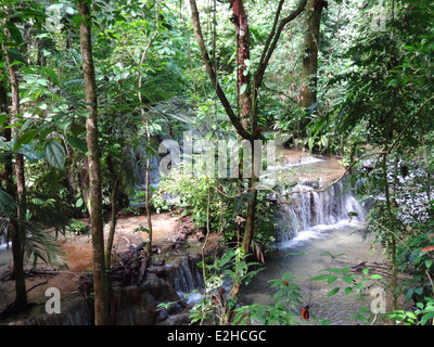 Dschungel-Landschaft um Palenque, eine Maya-archäologische Stätte in Mexiko Stockfoto