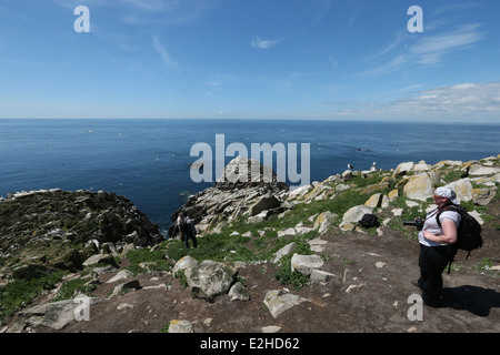 Ein Blick auf die Keltische See von Great Saltee Island in Wexford, Irland. Stockfoto