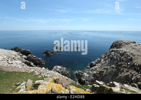 Ein Blick auf die Keltische See von Great Saltee Island in Wexford, Irland. Stockfoto