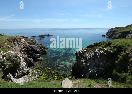 Ein Blick auf die Keltische See von Great Saltee Island in Wexford, Irland. Stockfoto