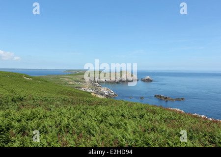 Ein Blick auf die Keltische See von Great Saltee Island in Wexford, Irland. Stockfoto