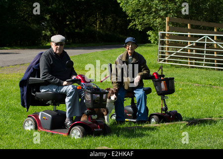 Zwei ältere Männer genießen Sie einen Ausflug auf ihre Behinderung Roller in der Sonne. Stockfoto