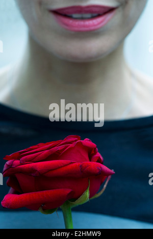 Frau, die einzelne Rose, beschnitten Stockfoto