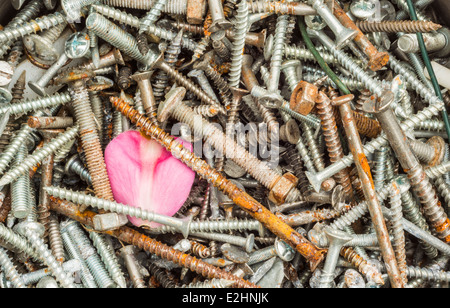 Konzept / Abstract - eine rosa Blume Blütenblatt gemischt mit rostigen Schrauben, Schrauben und Muttern. Stockfoto