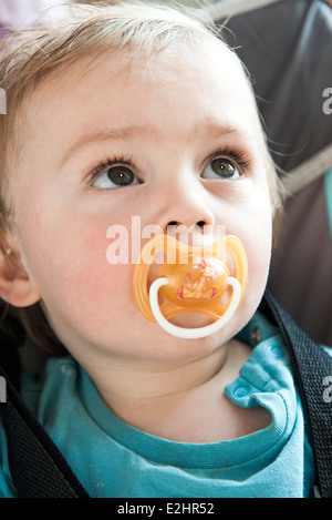 Baby mit Schnuller im Mund, Porträt Stockfoto