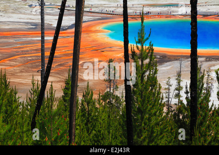 Grand prismatische Frühling im Yellowstone-Nationalpark, Wyoming Stockfoto