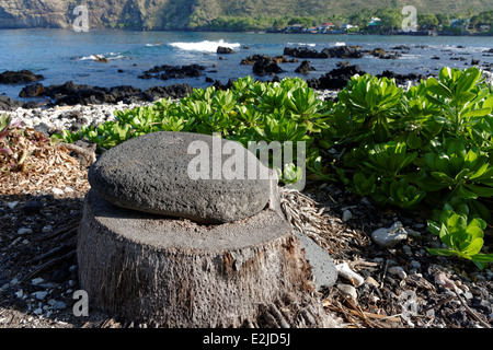 Kealakekua Bay, Captain Cook, Kailu Kona, Big Island, Hawaii, USA Stockfoto