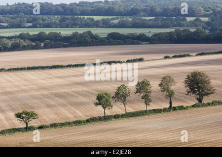 Meon Valley, South Downs, in der Nähe von Droxford, Hampshire, England, UK Stockfoto