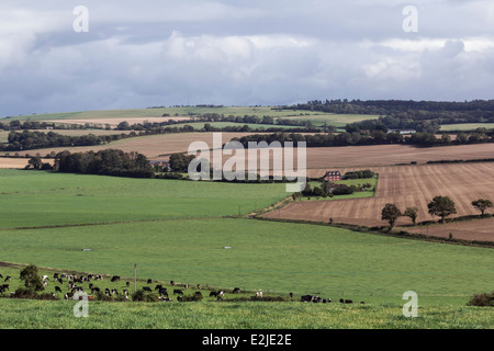 Meon Valley, South Downs, in der Nähe von Droxford, Hampshire, England, UK Stockfoto