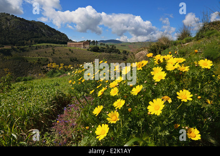 Tempel von Segesta im Frühjahr in Sizilien, Italien Stockfoto