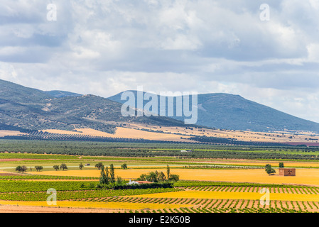 Die Landschaft blickte auf den Garten in der Provinz La Mancha in Spanien. Stockfoto