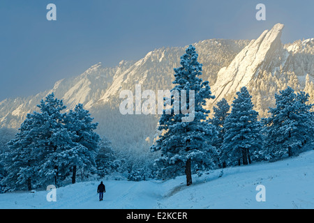 Mann unter Flatirons Wandern bedeckt in Schnee, Boulder Open Space und Mountain Park, Boulder, Colorado USA Stockfoto