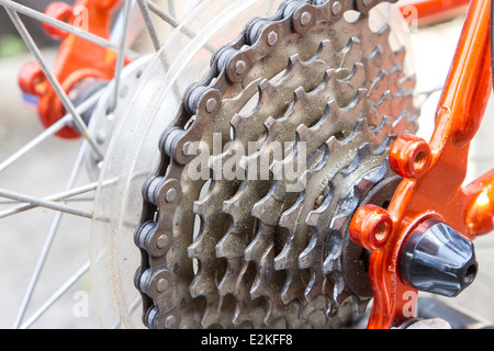 Fahrrad hinteren Zahnräder mit Kette Stockfoto