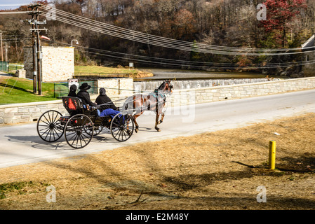 Amische Pferdekutsche offene Buggy, Ashville Road, Pine Grove Covered Bridge Octoraro Creek, Pennsylvania Stockfoto